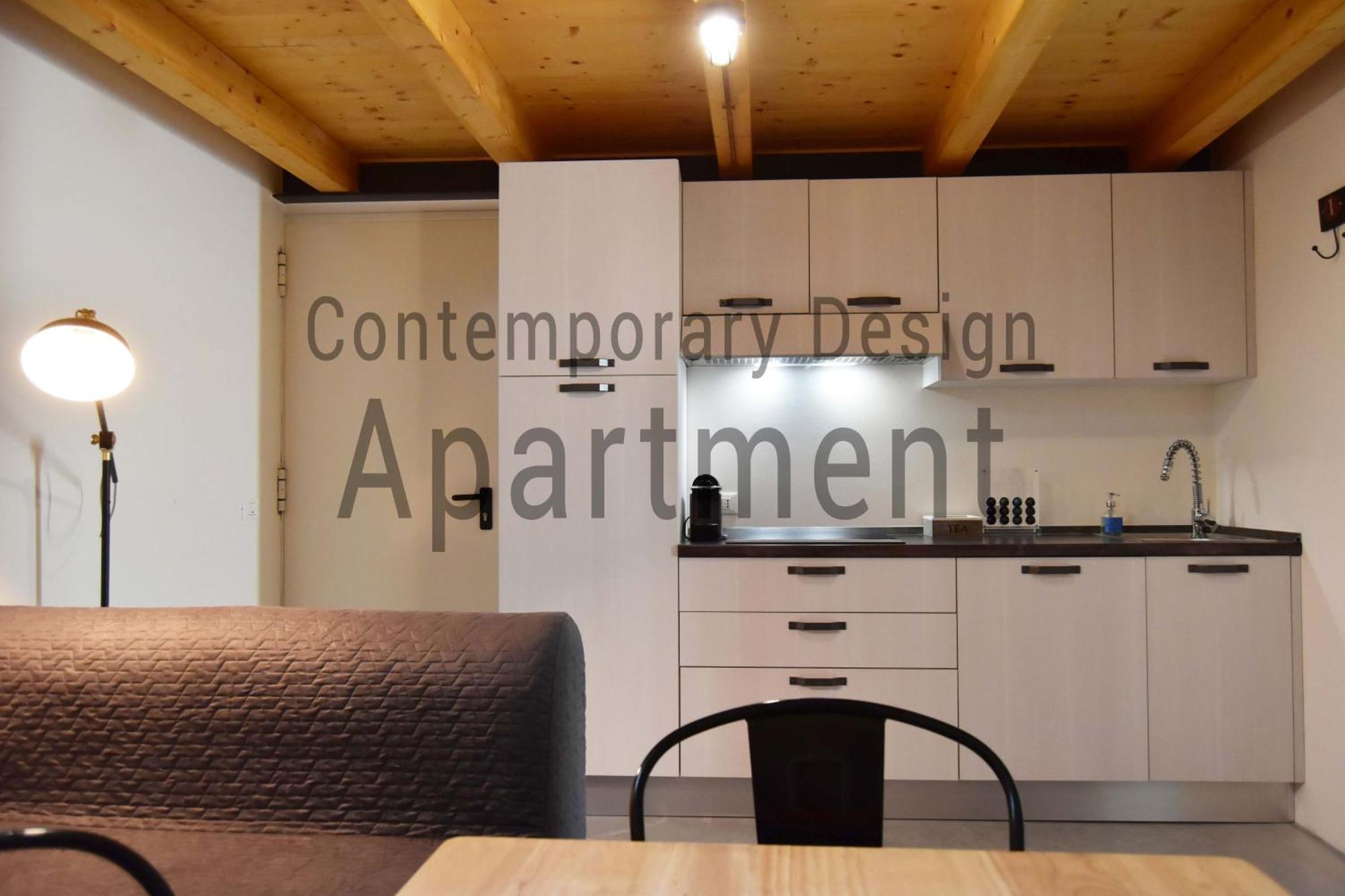 Apartment Contemporary Design Loft &